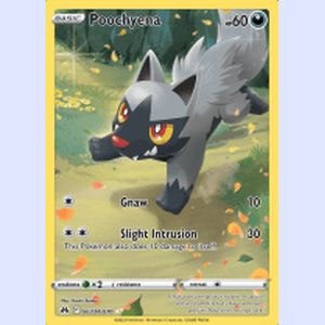 (CRZ GG33) Poochyena