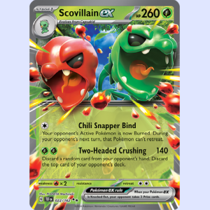 (TEF 022) Scovillain ex