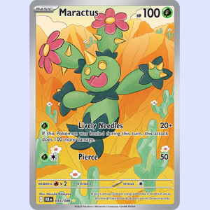 (BLK 093) Maractus