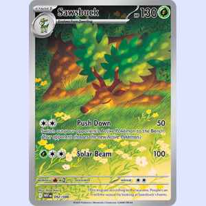 (WHT 092) Sawsbuck